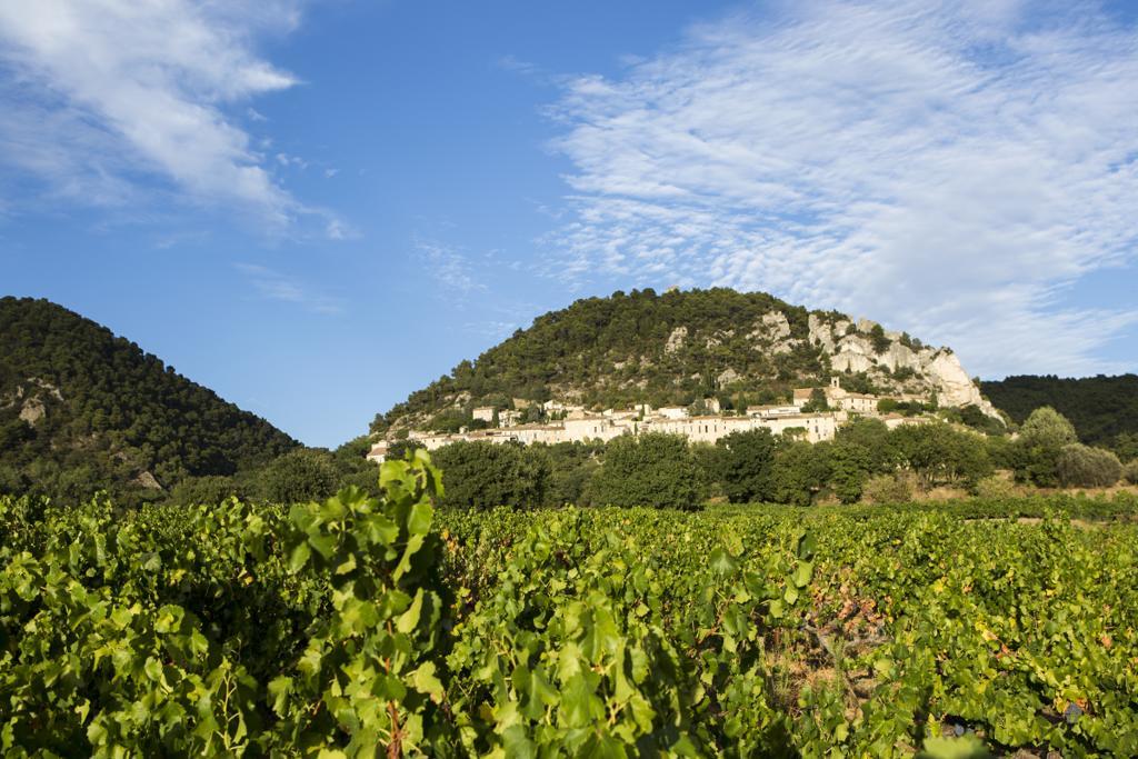 Hotellerie Du Domaine De Cabasse Séguret Екстериор снимка
