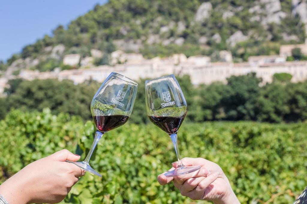 Hotellerie Du Domaine De Cabasse Séguret Екстериор снимка